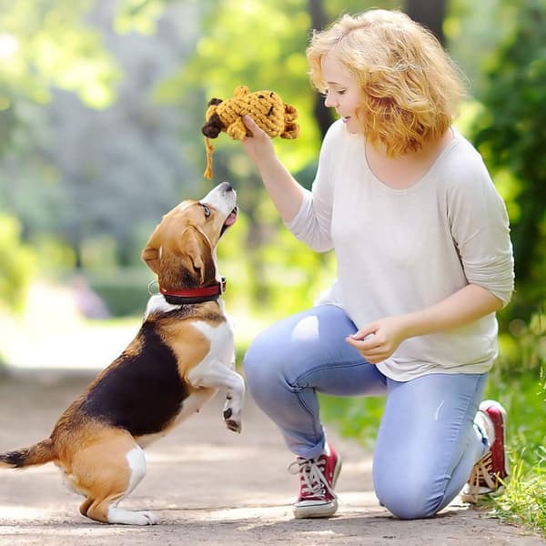 Bomullstau tyggeleke for hund