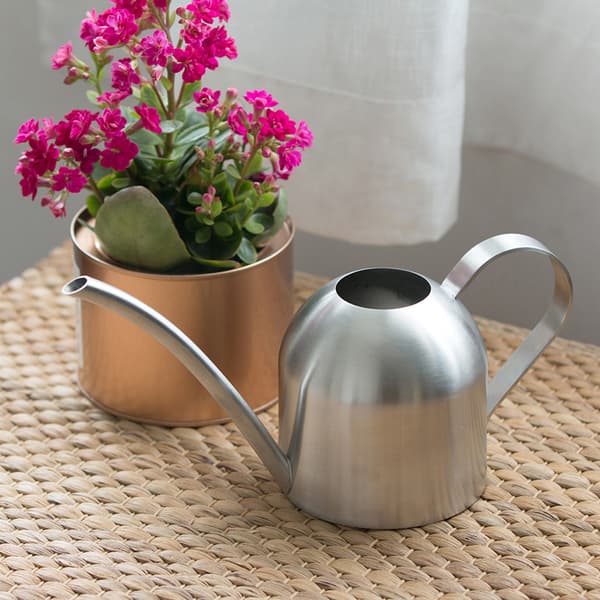 Mini vandkande med lang tud til havepotteplanter 500 ml