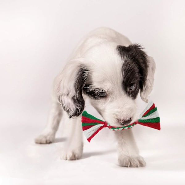 8 st husdjursleksaker hund julklapp låda tugg rengöring bomull R