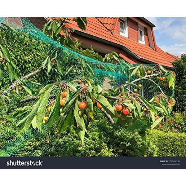 2 stk. 10m x 4m fuglenet, fuglenet, frugttrænet