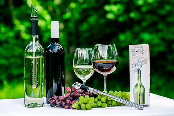 Vinscepter Vinkøler med belufter i rustfrit stål - Premium W