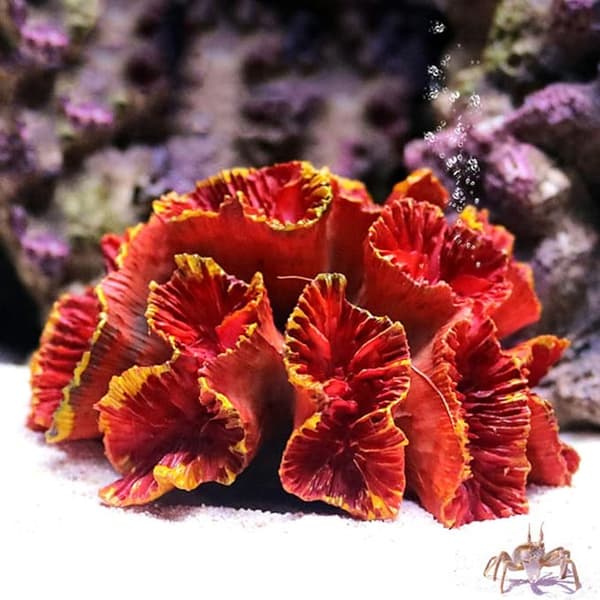1st Simulering akvarium växt Aquarium Decor - Shell Resin Aquar