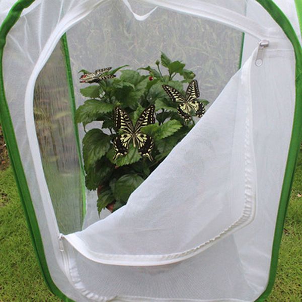 Insekt och fjärilshabitat Bur Terrarium Pop-Up 40*40*60cm