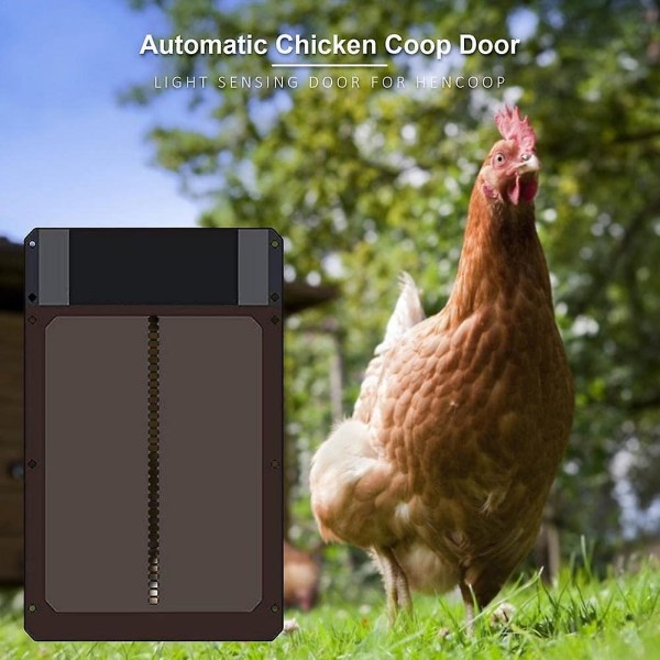 Automatisk hönshusdörr, batteridriven automatisk hönskoja