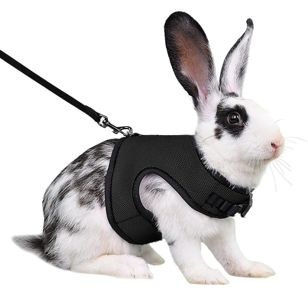 Harness for Rabbits Guinea Pigs Small Animals with Elastic Leash