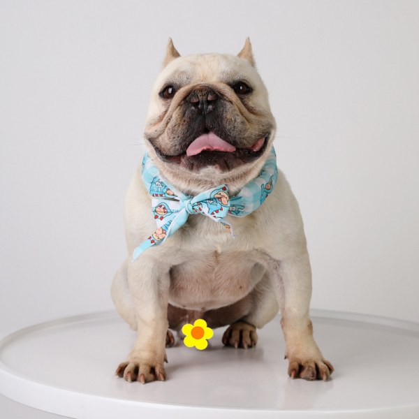 Hund Instant Cooling Bandanas Husdjur Andningsbara Halsdukar Katter Ice Coll