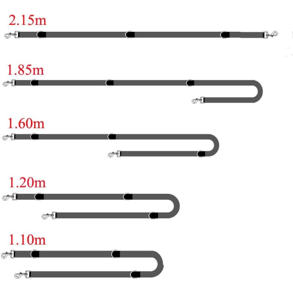 Treningsbånd for hund og katt, justerbar 5 lengder 1,1 m - 2,15 m