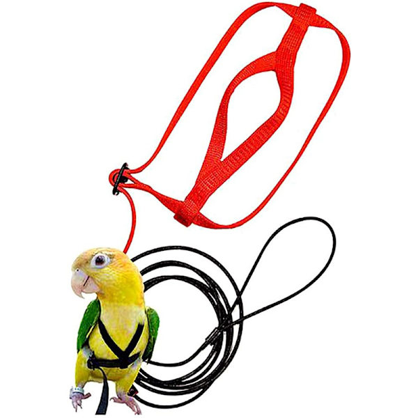 Papegoja Flygande Rep Anti Bite Flygande Rep Dragrep Tiger Skin