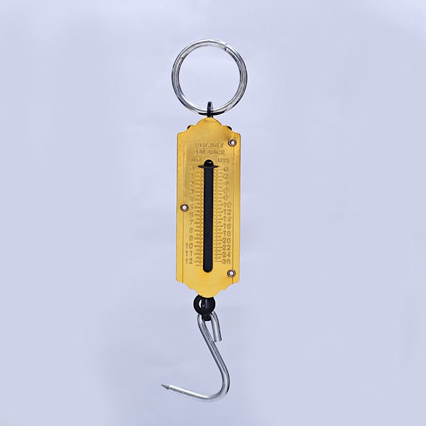 Fjærvekt 25 kg