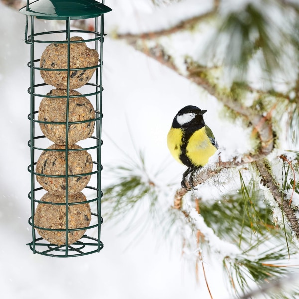 Hengende fuglemater, metallfuglemater, villfuglemater