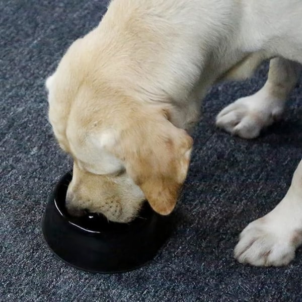 Anti-Glutton skål til hundekat, skridsikker foderskål, der fremmer