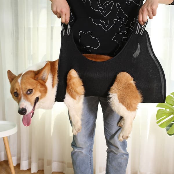 Husdjurs hängmatta, katthängmatta, M