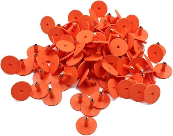 100 st Get- och grisörhängen Kor Kor Kalv Gård Orange