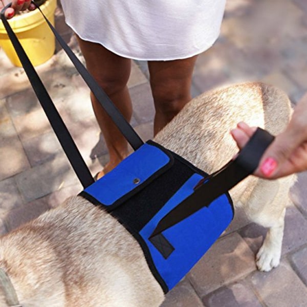 Lisävyö lemmikeille, klassiset nostovaljaat vanhemmille tai sairaille koirille portaissa kiipeämiseen, ajoneuvoihin nousemiseen ja sieltä poistumiseen, sininen (XL)