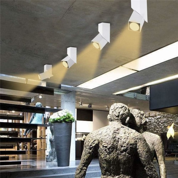 12W LED-kattovalaisin säädettävällä valonheittimellä