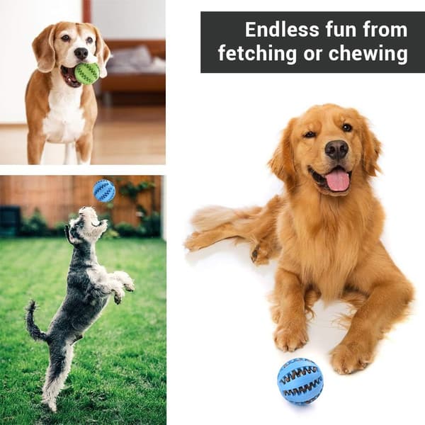 Hundgodisbollar, gummikulor för tänder, bitresistent, giftfri