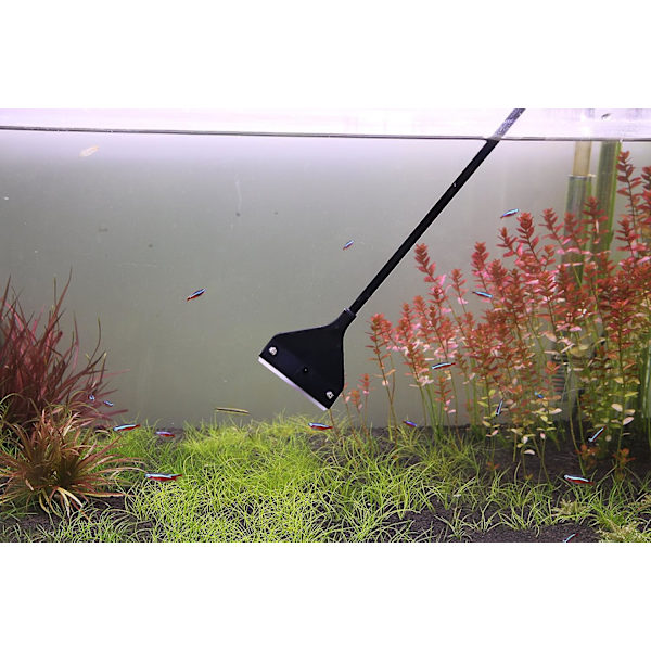 Aluminium Magnesium Legering Akvarium Skraber Rengøringsbørste med Stai
