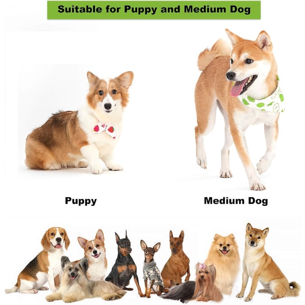 Små hund leksaker valp tuggleksaker 6 pack valp rep leksaker för små hundar och valpar 100% naturliga bomull A