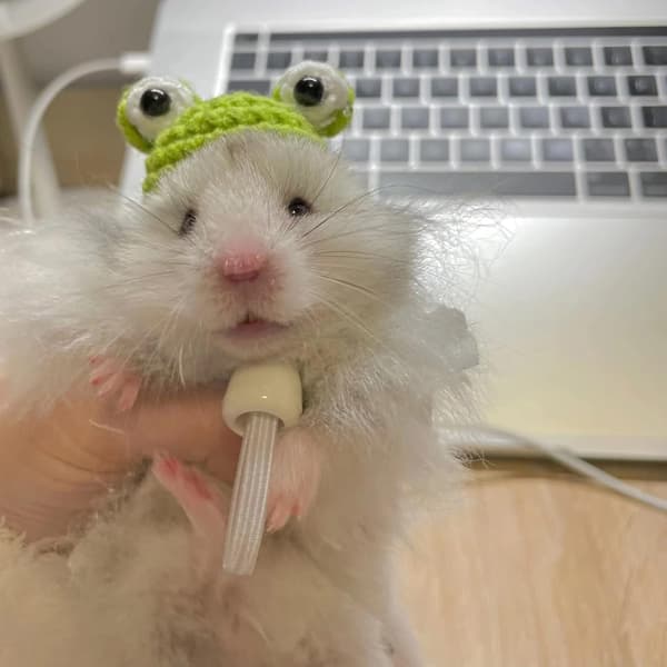 Mini söt husdjurshatt med justerbar rem handgjord hatt för orm