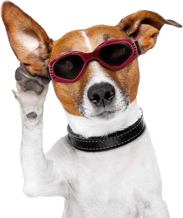 Hunde Goggles, Solbriller for kjæledyr, Sammenleggbare Hunde Goggles UV-beskyttelse S