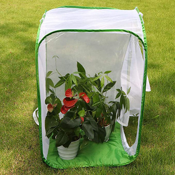 Insekt och fjärilshabitat Bur Terrarium Pop-Up 40*40*60cm