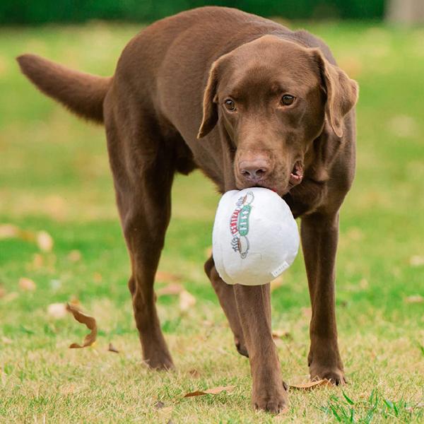 Warner Brothers for Pets Friends TV Show Plysch Hund Leksak | Söta Pipande Vänner Leksak för Alla Hundar | Stoppade Hund Leksaker med Pip, Vänner Memorabilia