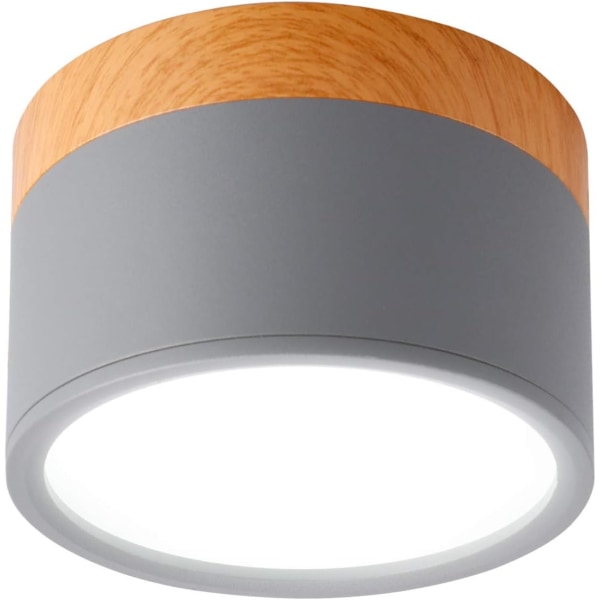 Overflate montert takspotlight Rund LED Scrub Grå Kald Hvit