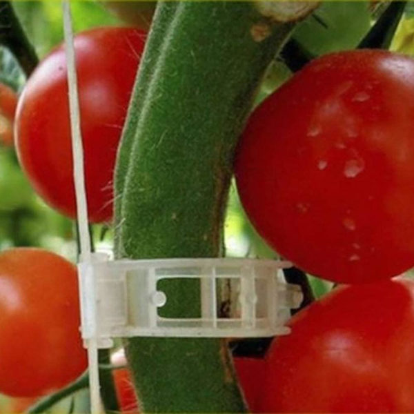 100 stk. Haveklemmer til planter, til at binde planter, snor, espalier