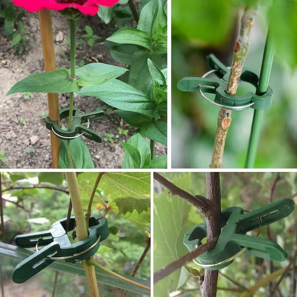 Haveklips til planter, 100 stk. holdbare planteclips, genanvendelige clips