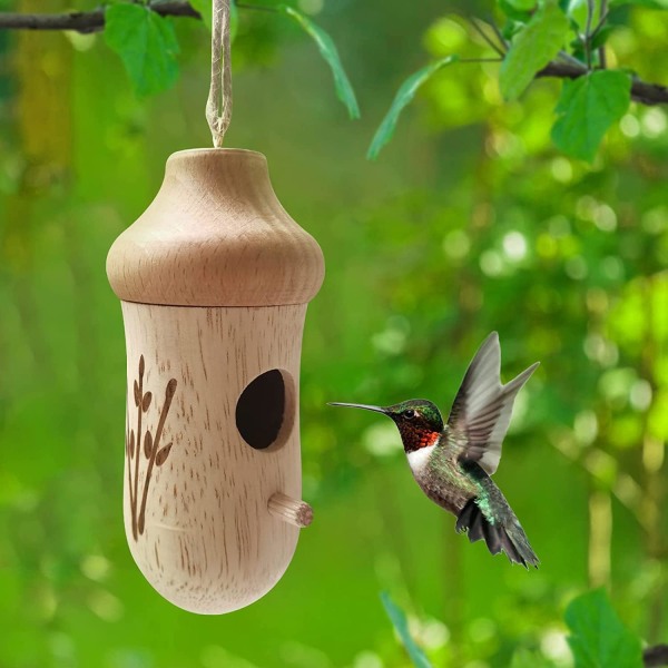 Trähummingbird Utomhus Hängande, Kolibribo Wren Svala