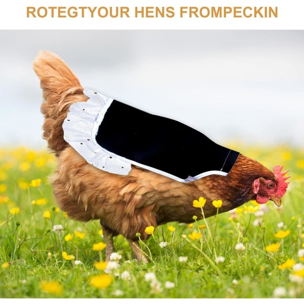 Kycklingsförkläde, kycklingsadel för hönor, bakre bakgrundsfjäder C