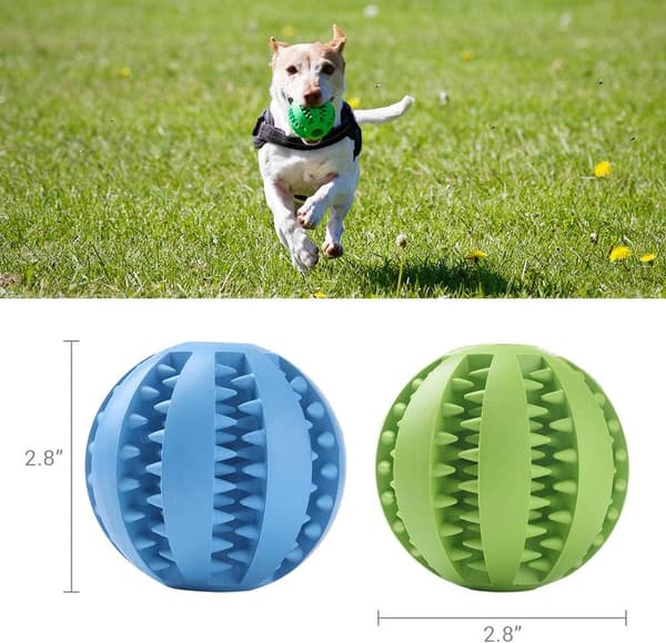 Hundgodisbollar, gummikulor för tänder, bitresistent, giftfri