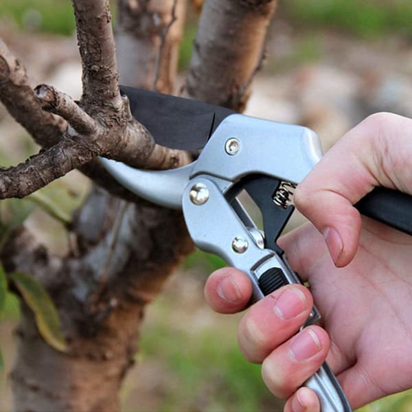 Ammattimaiset puutarhanleikkurit, ergonomiset leikkurit