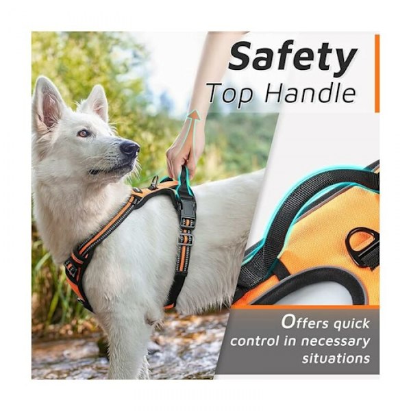 Orange, Hundsele, Justerbar Reflex Anti-Drag Hundsele,