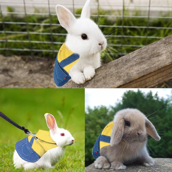 Sele och koppel för kanin - Kläder för kanin marsvin - V