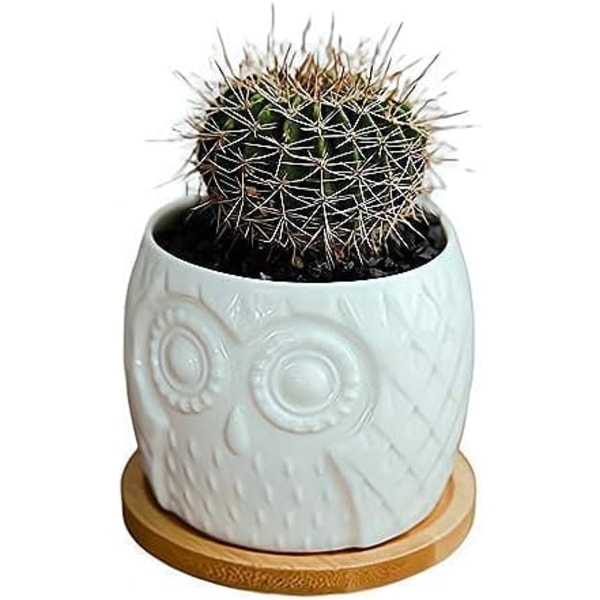 Cute Cartoon Animal Owl Shaped Ceramic Cactus Succulent Flower Pl