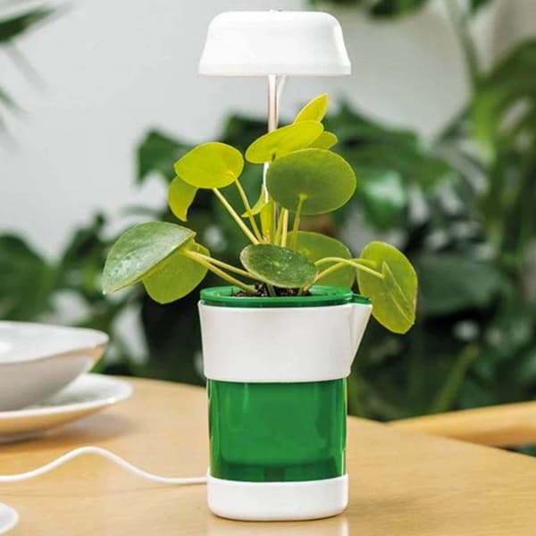 LED-groeilicht met zelfwaterende pot – Volledig spectrum plantenverlichting wit white
