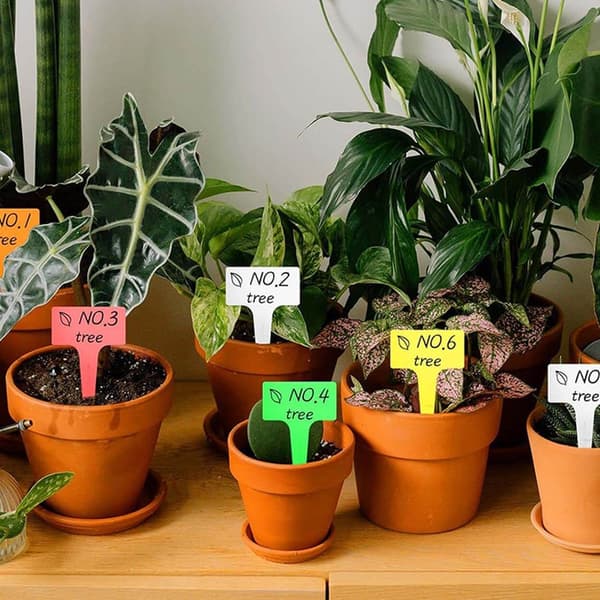 50 kpl kasvien nimilappuja | Moniväriset kasvikyltit kasvien merkitsemiseen multicolor