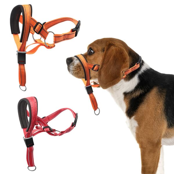 Hundehovedkrave, No Pull Halter med blød polstring, Træningsværktøjîbæredygtig udvikling for mellemstore hunde