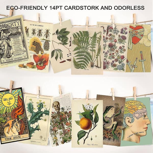 Vintage Botanisk Illustrasjon Tarot Collage Kit - 50 stk Små Plakater