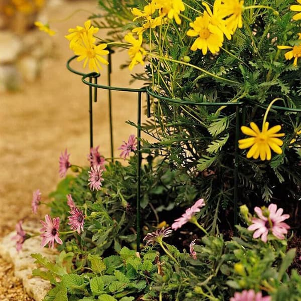 10-pack Trädgårdsstöd Pinnar, Halvrunda Trädgårdsstöd för Tomater, Klätterväxter Blommor