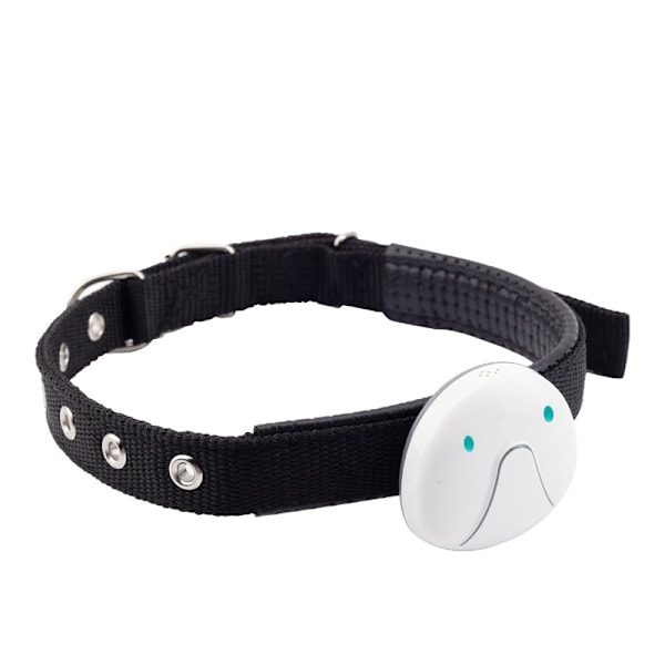 GPS Katte- og Hundehalsbånd GPS Tracker hvit