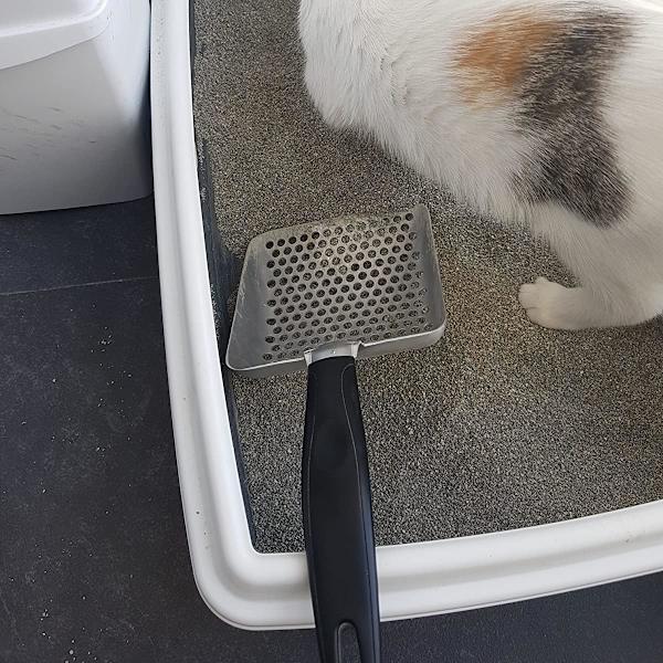 Speciell djup metall kattsandsspade för kattsandsspade