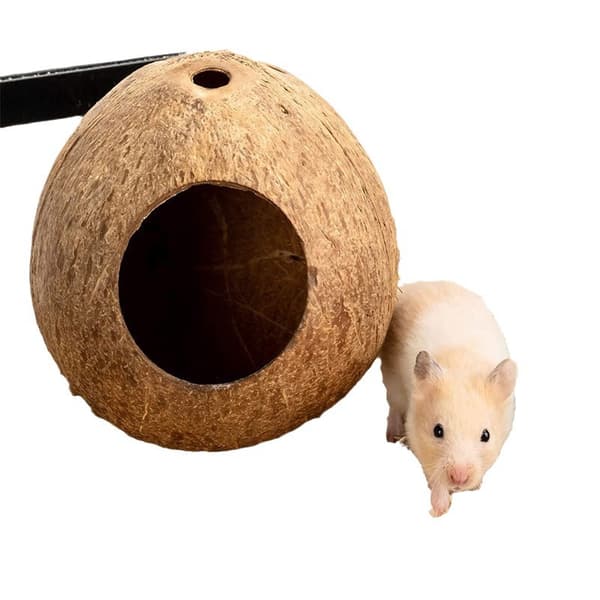 Hamster Leksaker Tillbehör Apparat Bo Håll Varmt Under Vintern Gnaga