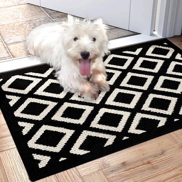 Dörrmatta Inomhus Smutsfångare Absorberande 50x80 cm Halkfri Svart Entrématta Ytterdörr Välkomstmatta Lågprofil Inomhus Golvmatta