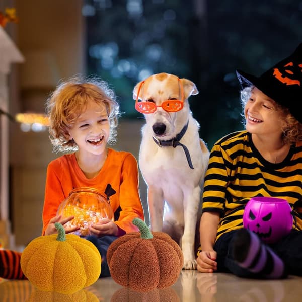 Set med 2 mjuka 3D-formade pumpakuddar för Halloween, heminredning för bil, sovrum, soffa, 23 cm