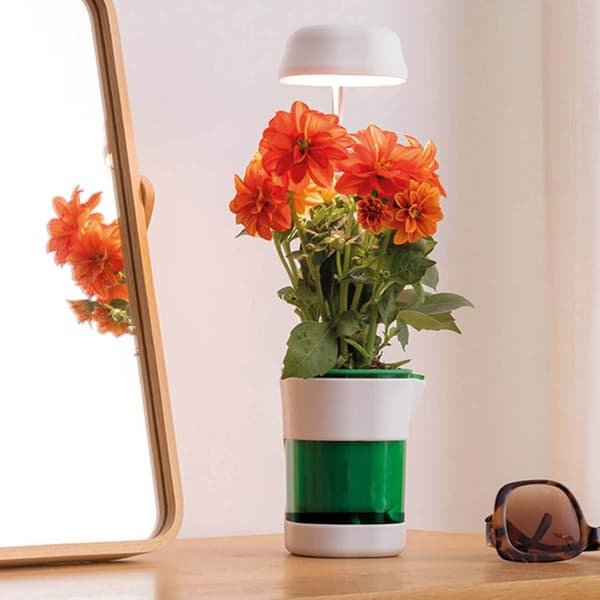 LED-groeilicht met zelfwaterende pot – Volledig spectrum plantenverlichting wit white