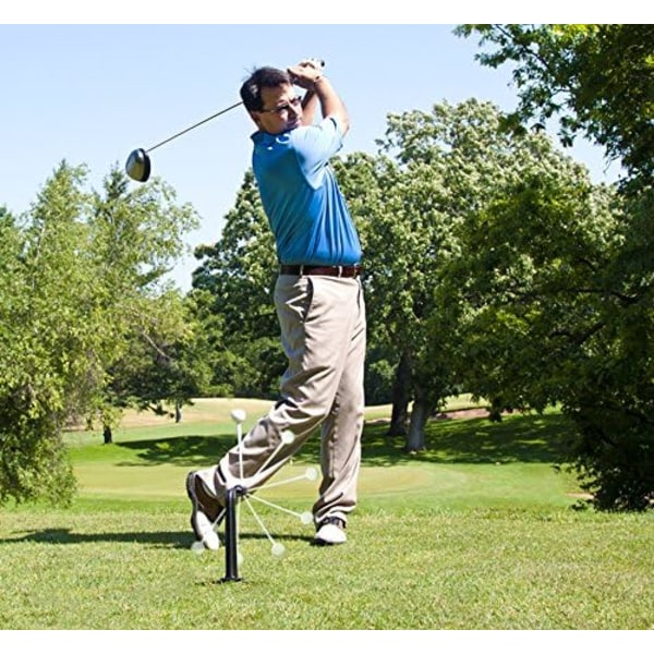 Club Champ Swing Groover