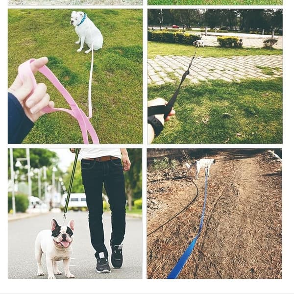 6 meter lang hundetreningsbånd for utendørs bruk - Lang innkallingsbånd for lydighetstrening Grå Grey