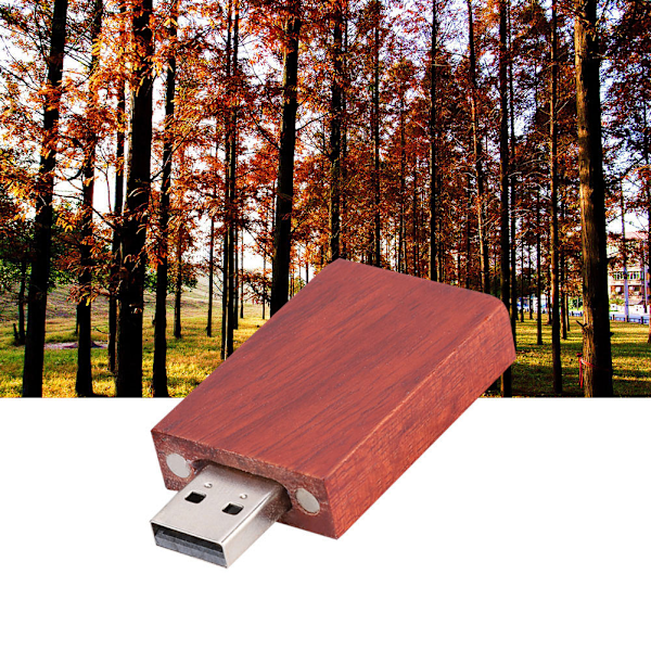 Rosewood Træ Skal USB 2.0 Flash Memory Drive Opbevaring Stick Med Boks U Disk 128GB